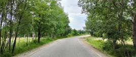 Utwardzone pobocza przy drodze Lubenia - Przylasek