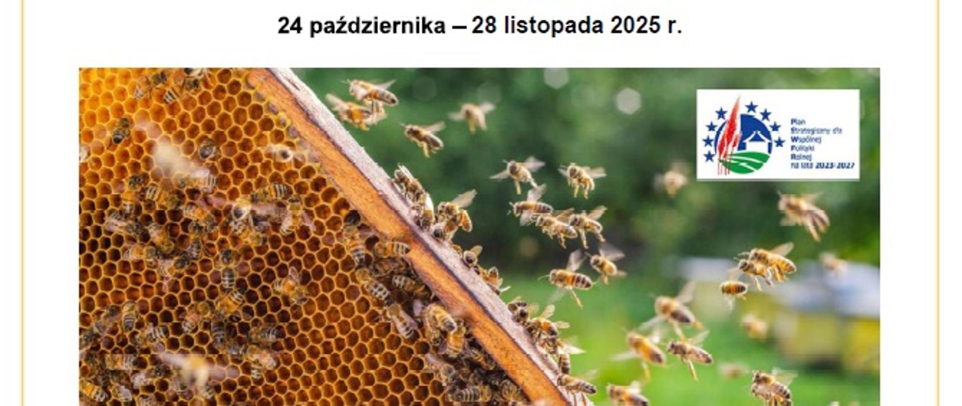 pszczoly