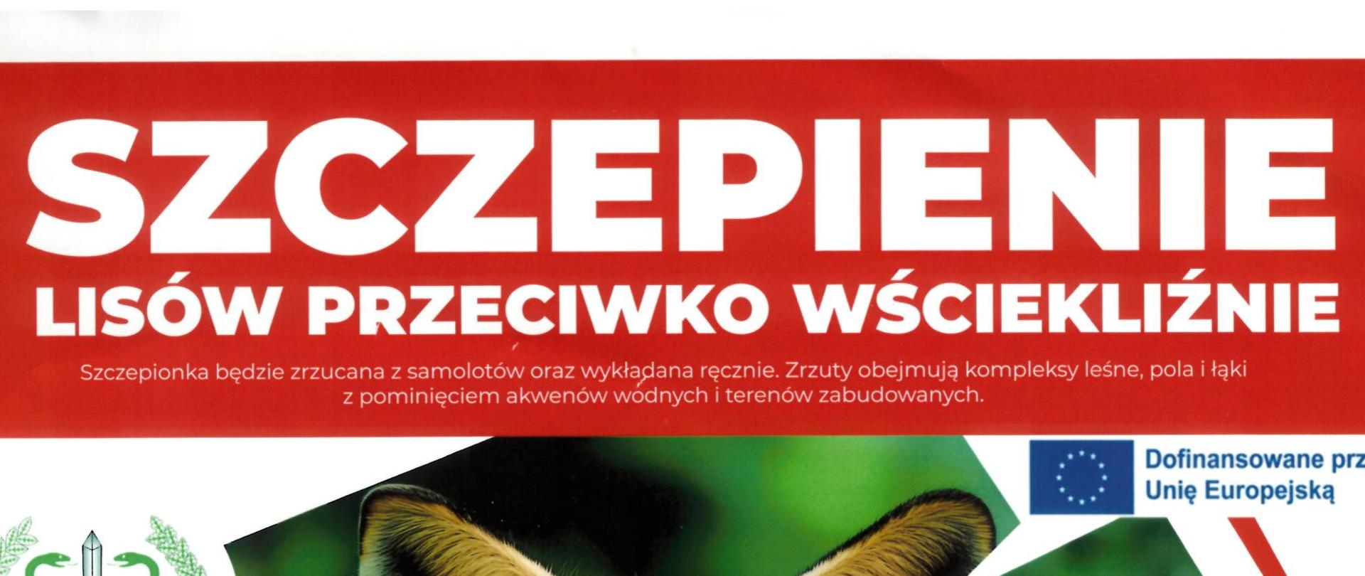 szczepienie lisów