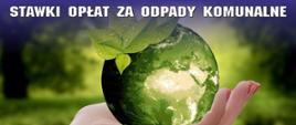 Opłaty za odpady w 2024 r. bez zmian