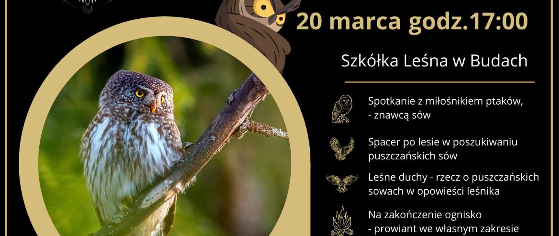 Na czarnym tle zdjęcie sowy, obok informacje o wydarzeniu, zawarte w artykule