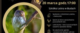 Na czarnym tle zdjęcie sowy, obok informacje o wydarzeniu, zawarte w artykule
