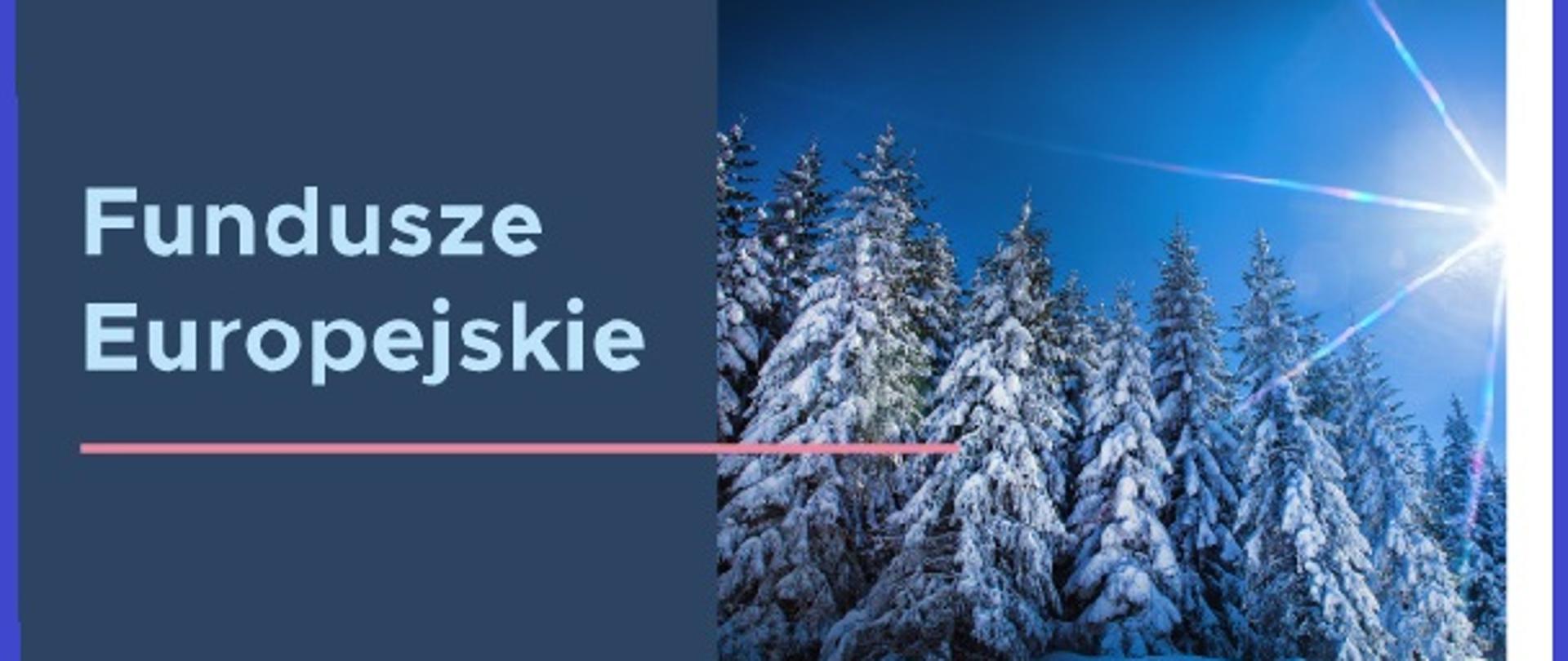Plakat informacyjny Funduszy Europejskich zdjęcie zimowego krajobrazu choinek