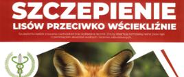 informacja o szczepieniu lisów przeciwko wsciekliźnie