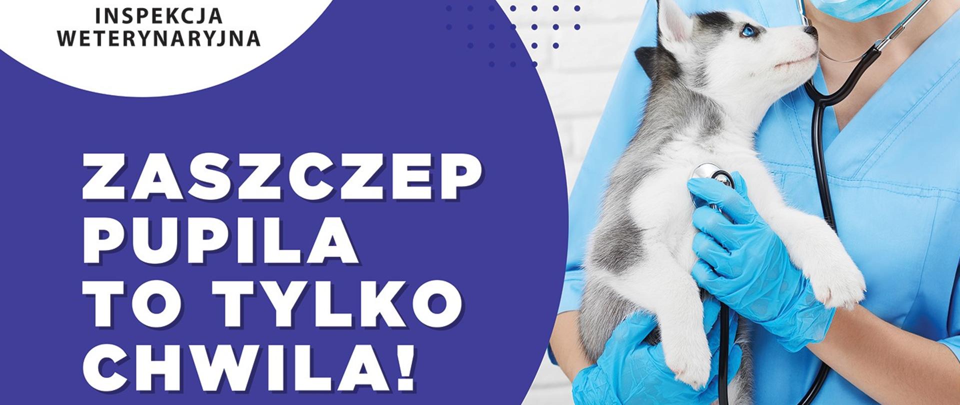 Zaszczep pupila