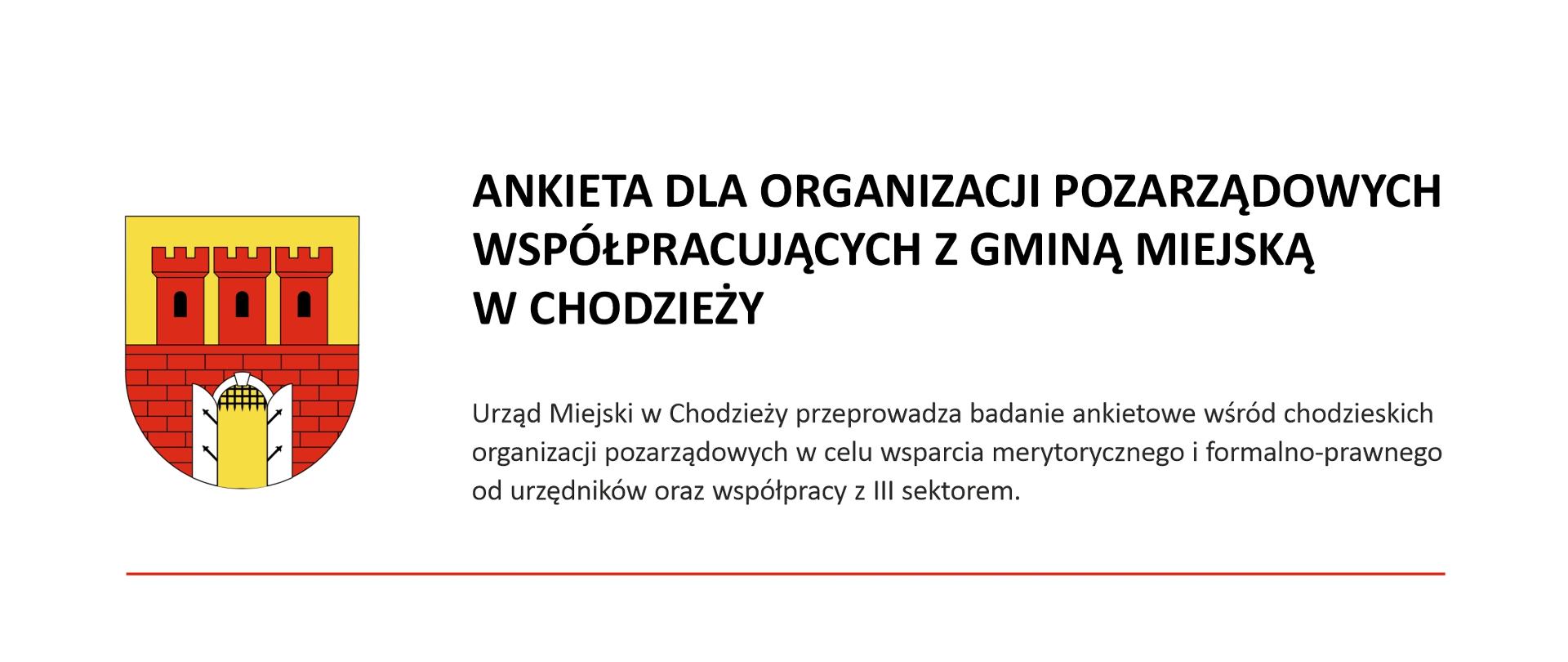 Baner ankieta dla NGO