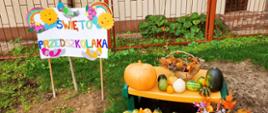 dekoracja