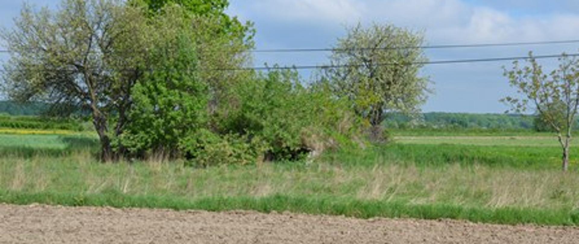  betonowe zbiorniki na paliwo lotnicze w ilości ok.30 tyś. litrów, zbiorniki znajdują się przy stacji kolejowej w Szastarce