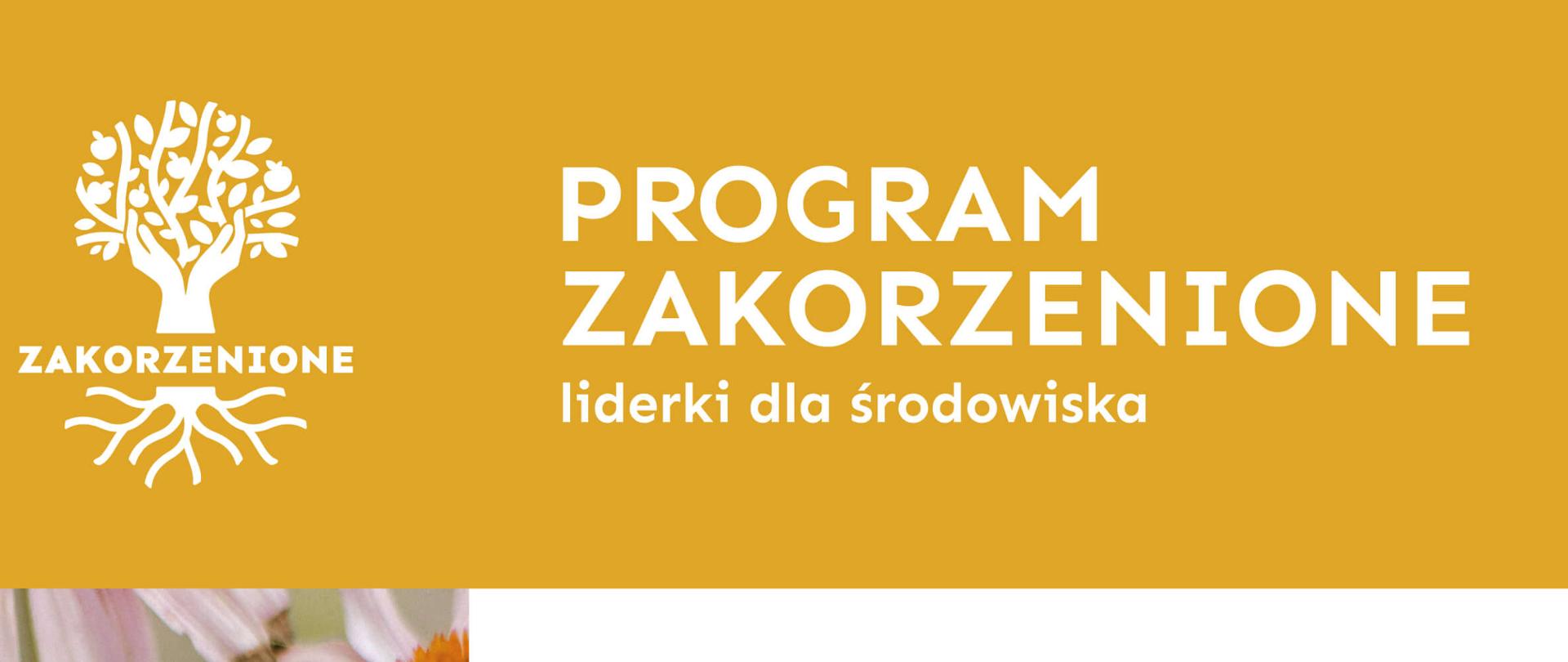 Program Zakorzenione