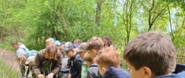 Drugoklasiści odkrywają las 🌿
