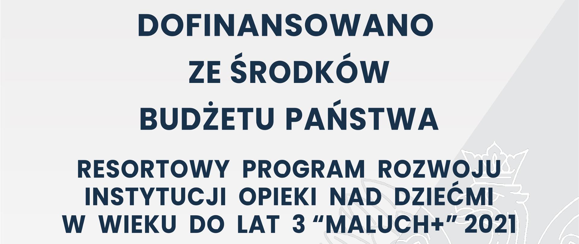 plakat maluch+