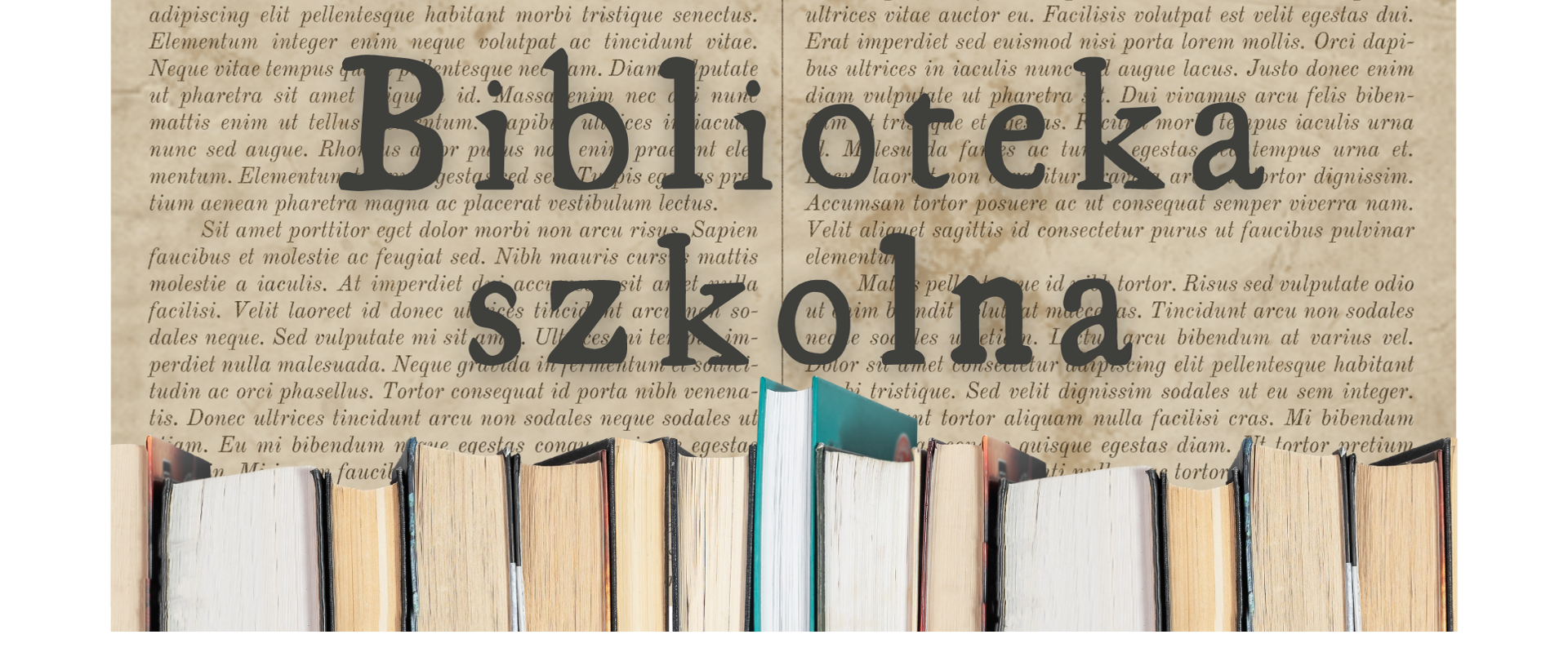 Biblioteka szkolna1