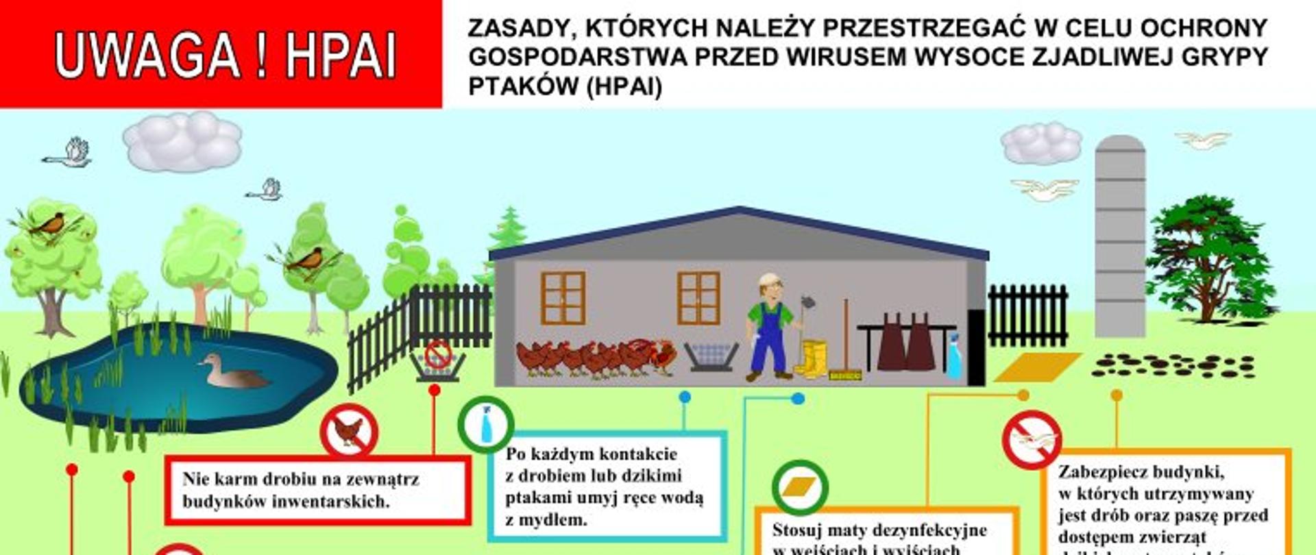 grafika informacyjna