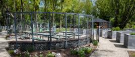 Ogród Botaniczny w Brwinowie