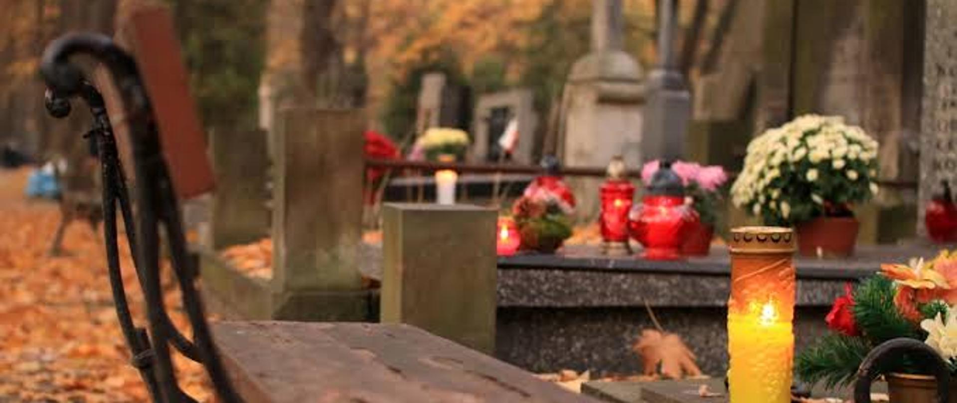 Jesienna aleja na cmentarzu. Na pierwszym planie znajduje się drewniano-metalowa ławka, a w tle pomniki ozdobione zniczami i chryzantemami pośród opadłych, żółtych liści.