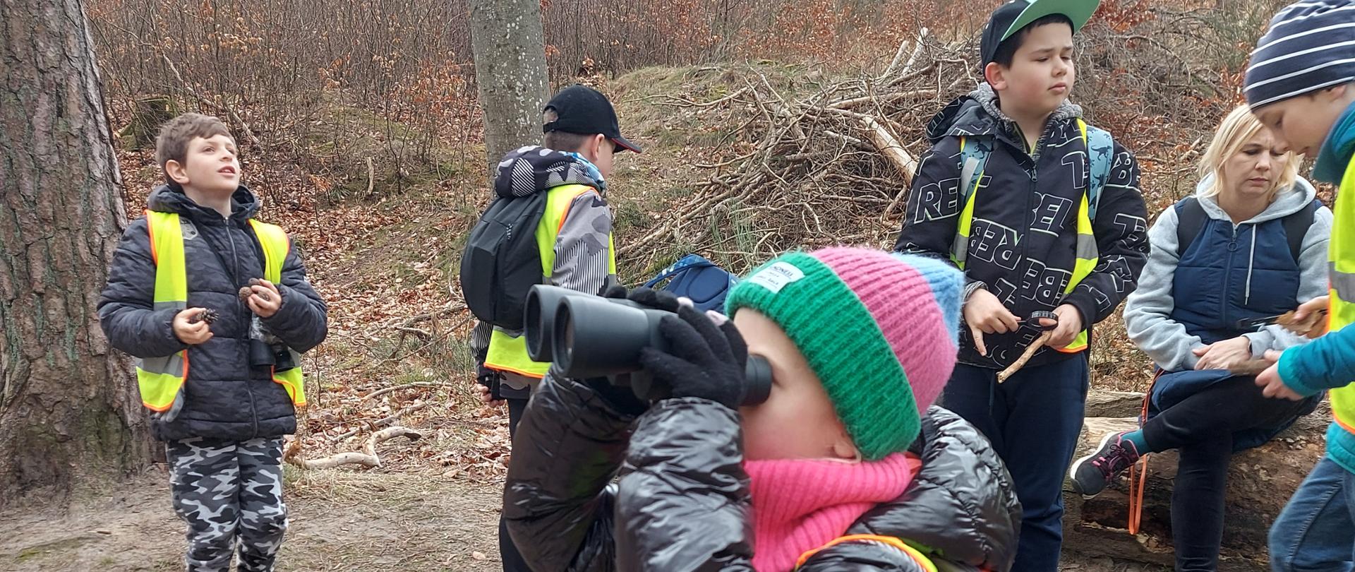 Zajęcia przyrodnicze w lesie
