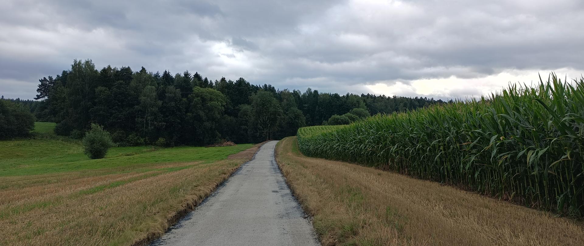 Nowo wyremontowana droga dojazdowa do gruntów rolnych w miejscowości Skawa, prowadząca przez tereny rolnicze. Po prawej stronie widoczne jest pole kukurydzy, a po lewej łąki i zadrzewienia. Nad drogą rozciąga się pochmurne niebo.