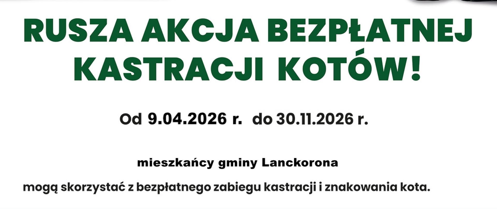 ZWIERZ-akcja-kastracja-2026-plakat-A3-koty-gminy-podglad