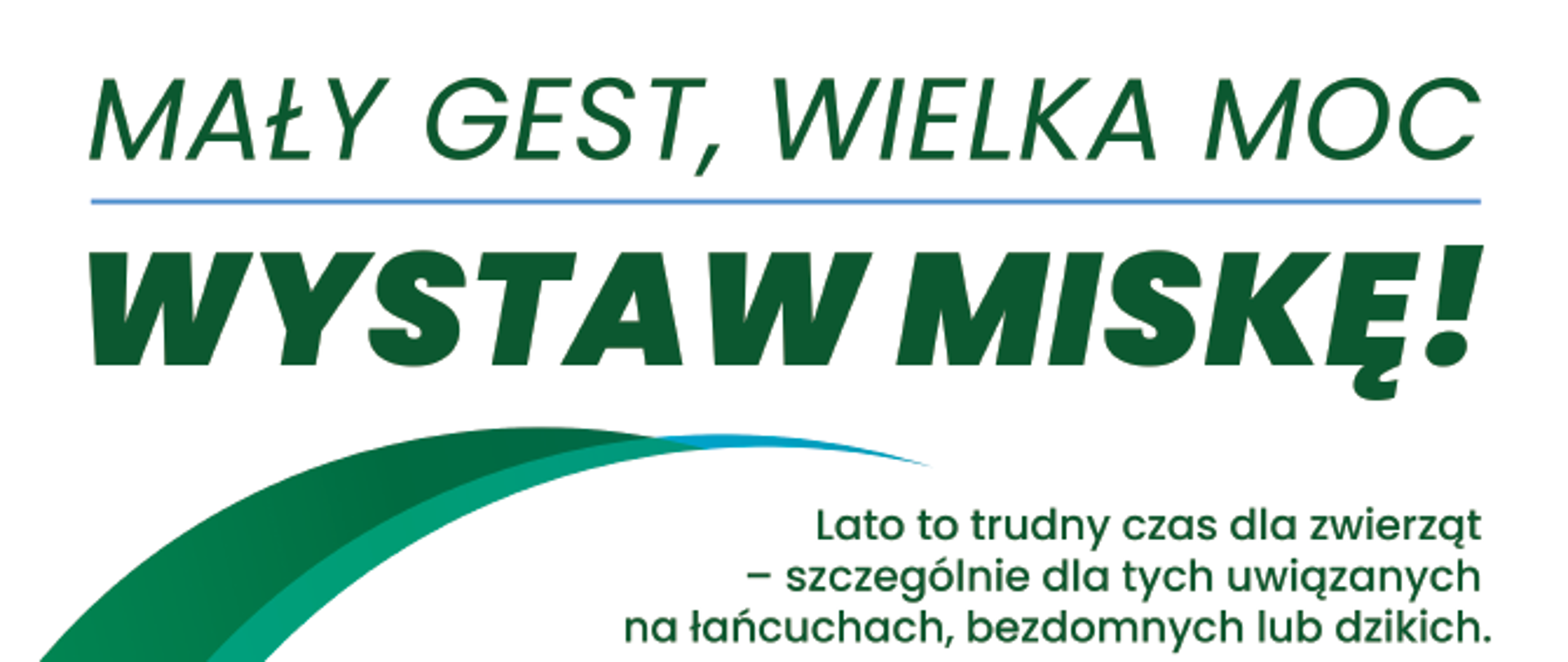 Miska życia – pomóż zwierzętom przetrwać upały