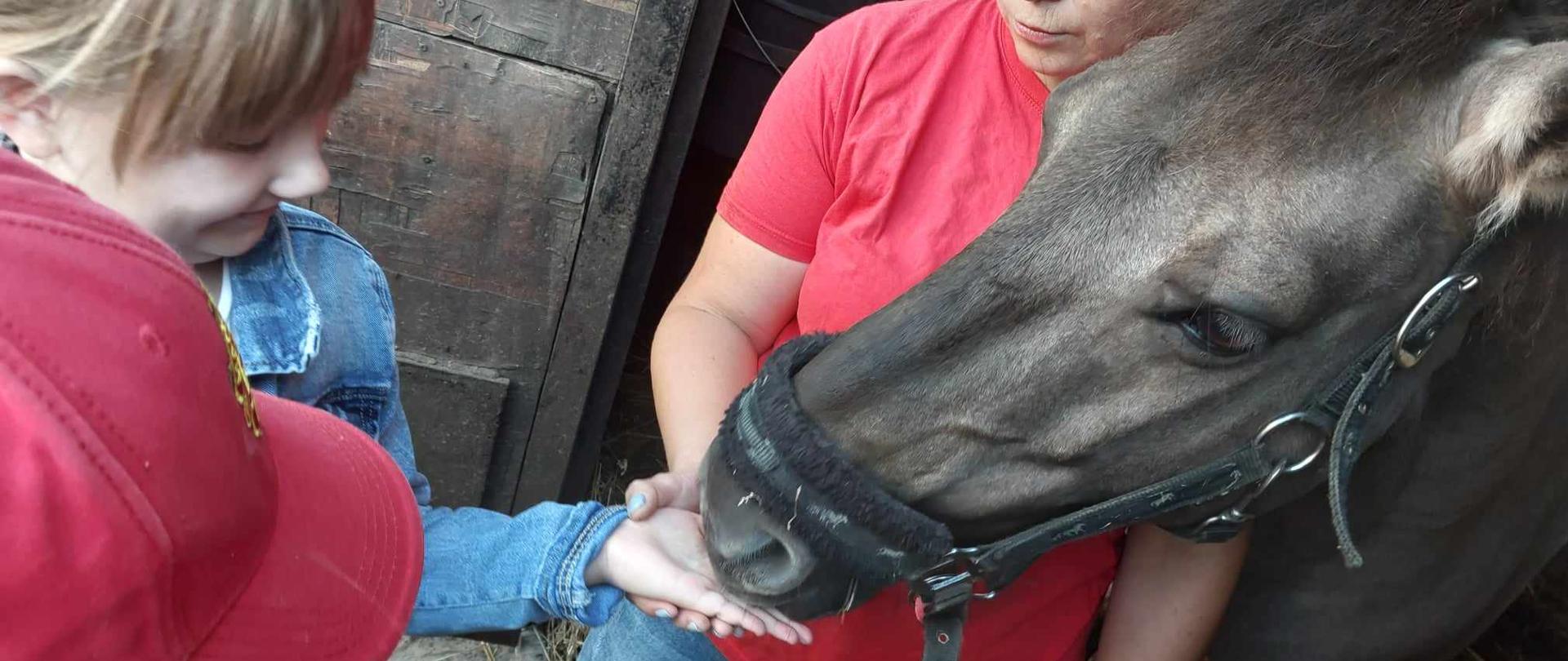 Dziewczynka trzyma otwartą dłoń do której koń przykłada pysk. Obok konia stoi kobieta w czerwonej koszulce
