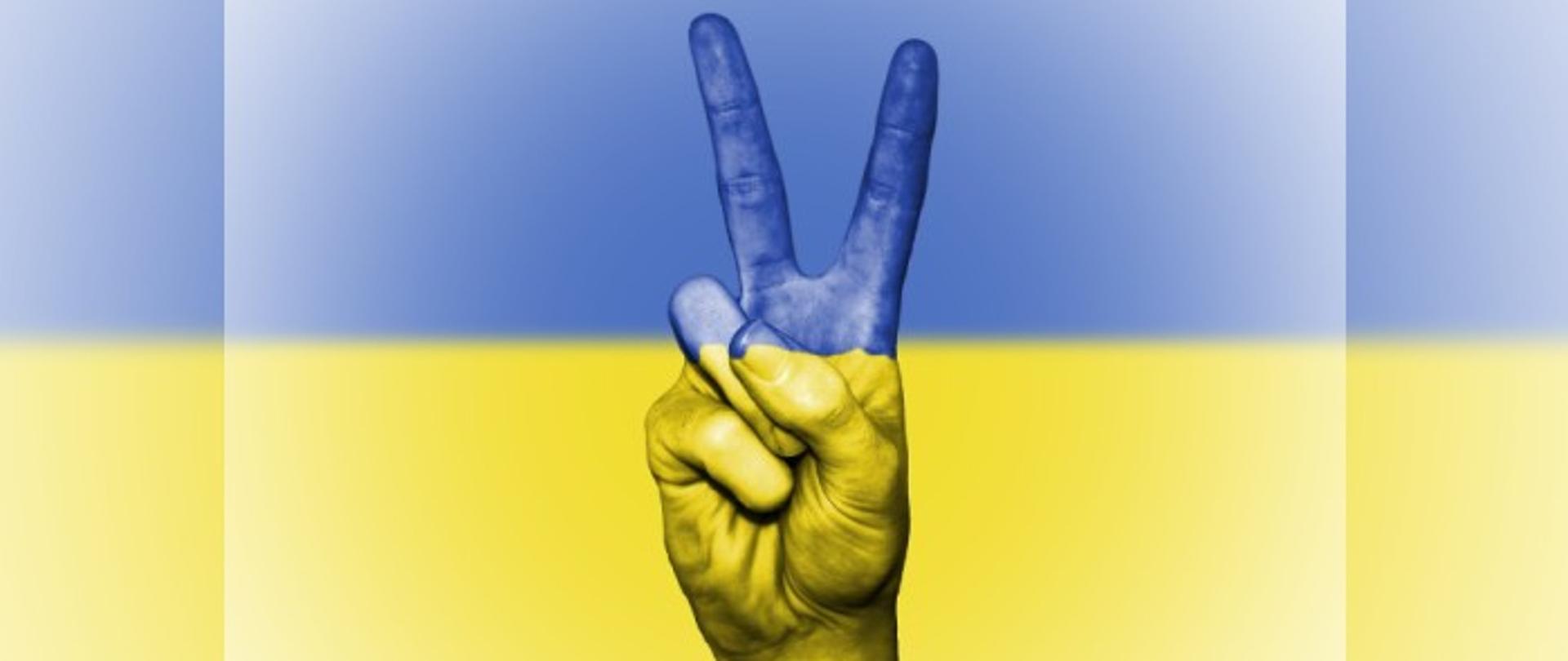 Zdjęcie ukazuje dłoń mężczyzny na tle braw narodowych Ukrainy