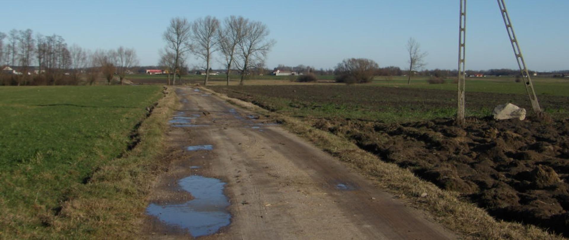 Wiejska droga gruntowa z kałużami, otoczona zielonym polem po lewej stronie i zaoranym terenem po prawej. W tle widoczne są bezlistne drzewa oraz oddalone budynki. Po prawej stronie znajduje się słup energetyczny z bocianim gniazdem na szczycie. Nad krajobrazem rozciąga się bezchmurne, błękitne niebo.