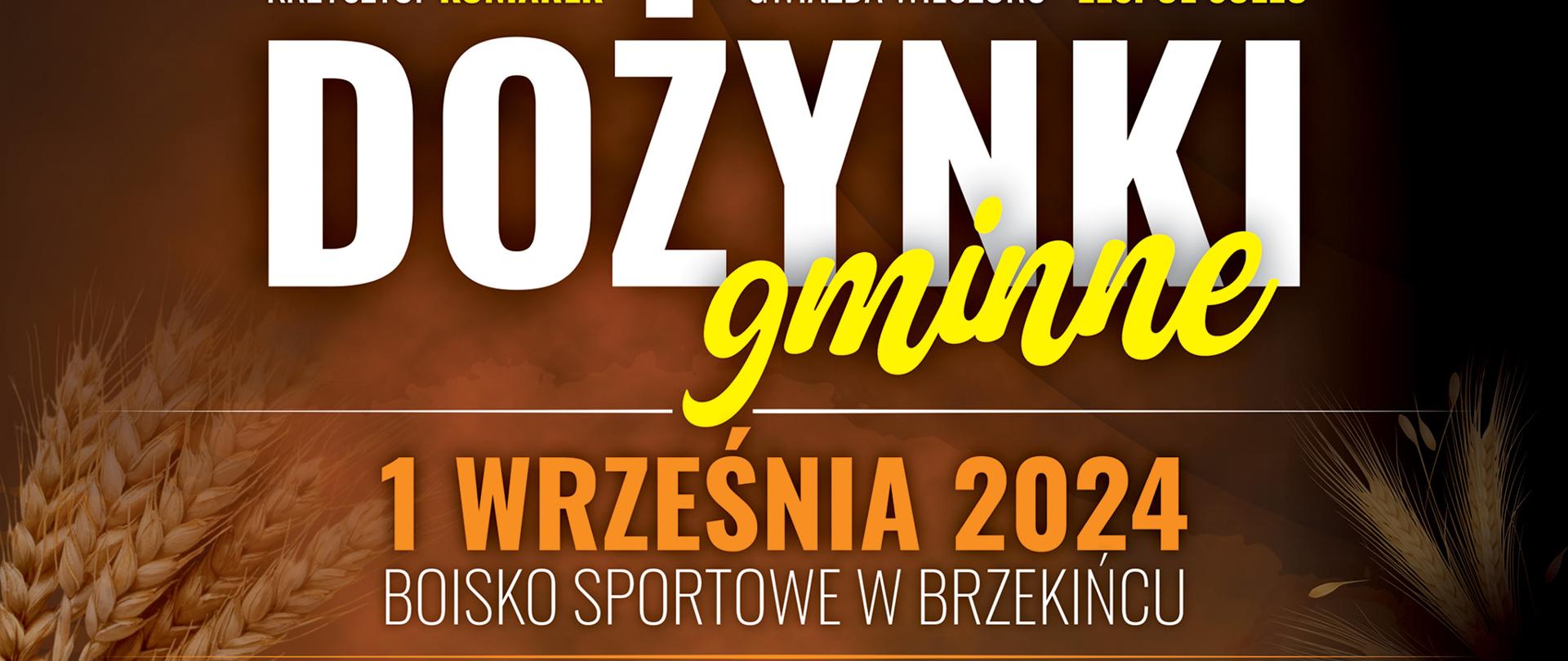 Plakat informacyjny o dożynkach gminnych 2024