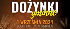 Dożynki gminne 2024