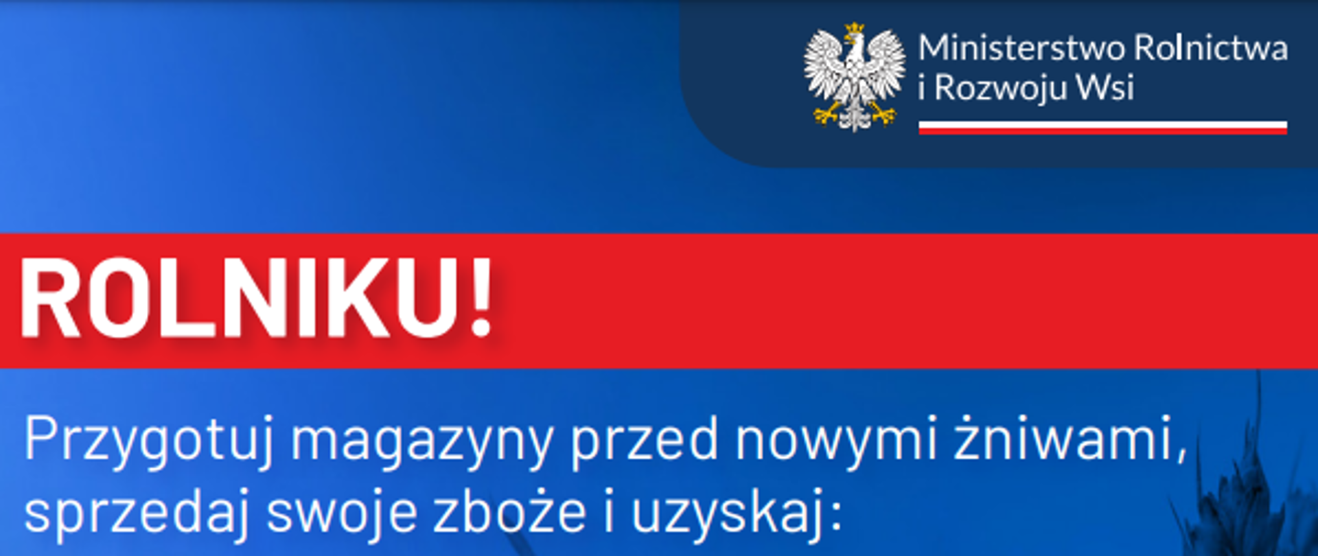 Na zdjęciu przedstawione jest korzyści i warunki, jakie można otrzymać z budżetu państwa po sprzedaży zboża.