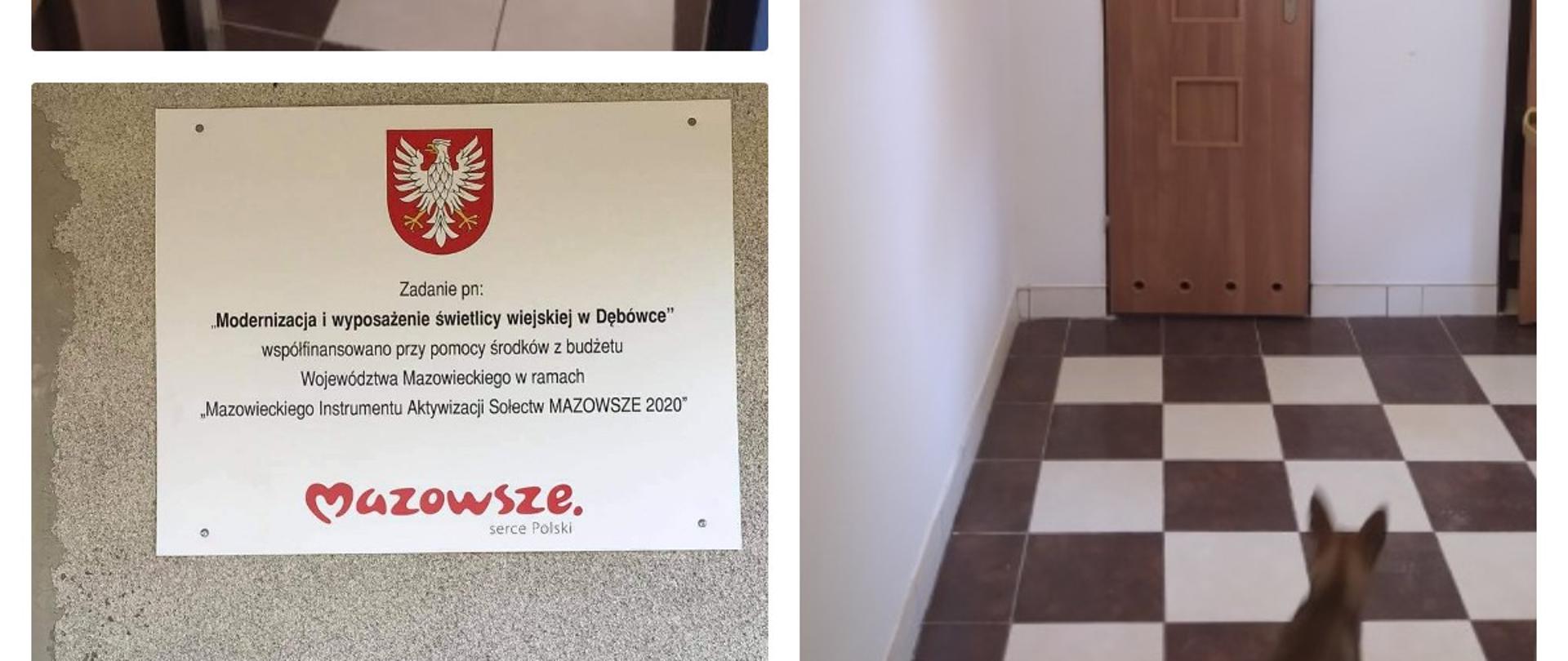 Modernizacja i wyposażenie świetlicy wiejskiej w Dębówce, modernizacja remizy OSP w Przeradzu Małym