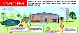 Schemat wyjaśniający zasady postępowania dla hodowców drobiu. Informacje zostały zawarte w artykule.