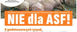 Nie dla ASF - 5 podstawowych zasad