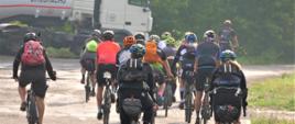 Zdjęcie przedstawia kilkanaście osób na rowerach jadących po asfalcie. Zdjęcie wykonane z tyłu