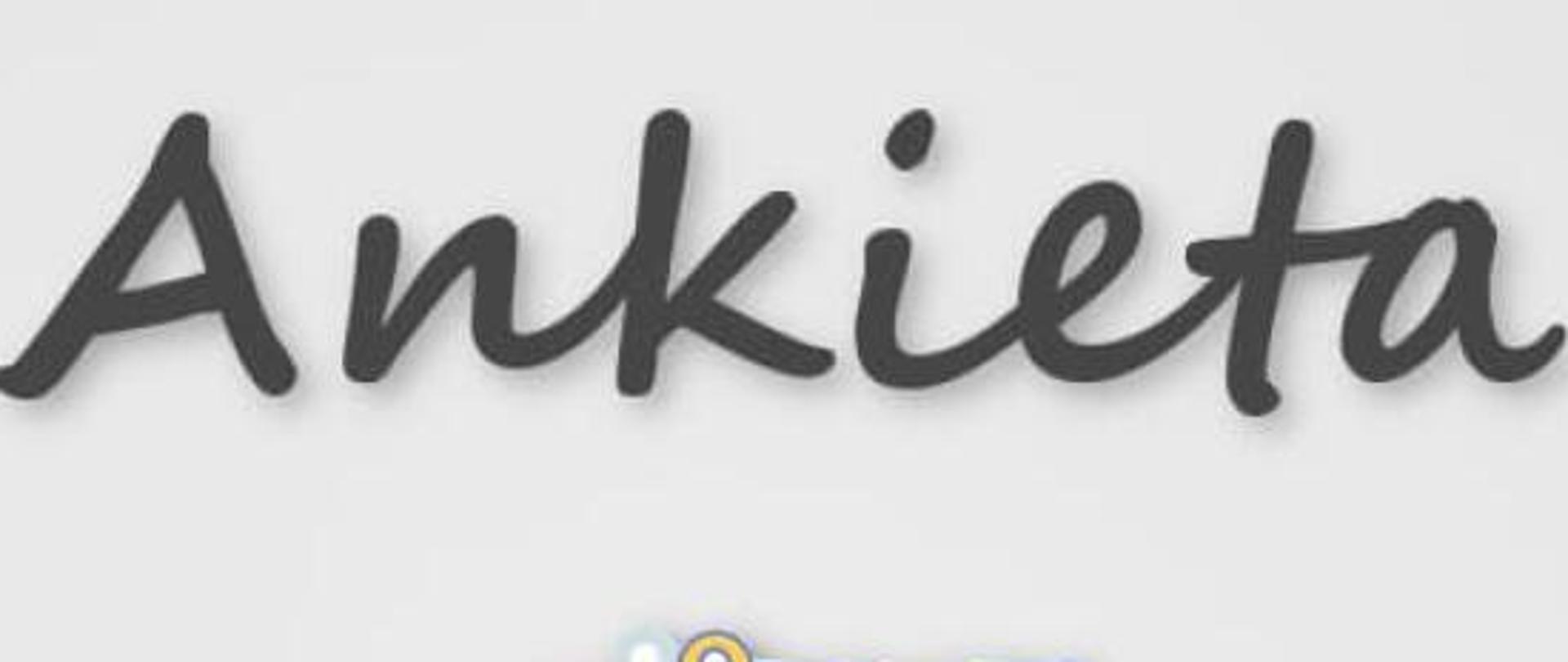 Ankieta