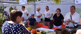 Dni Miasta i Gminy Mordy (12-13.08.2023)