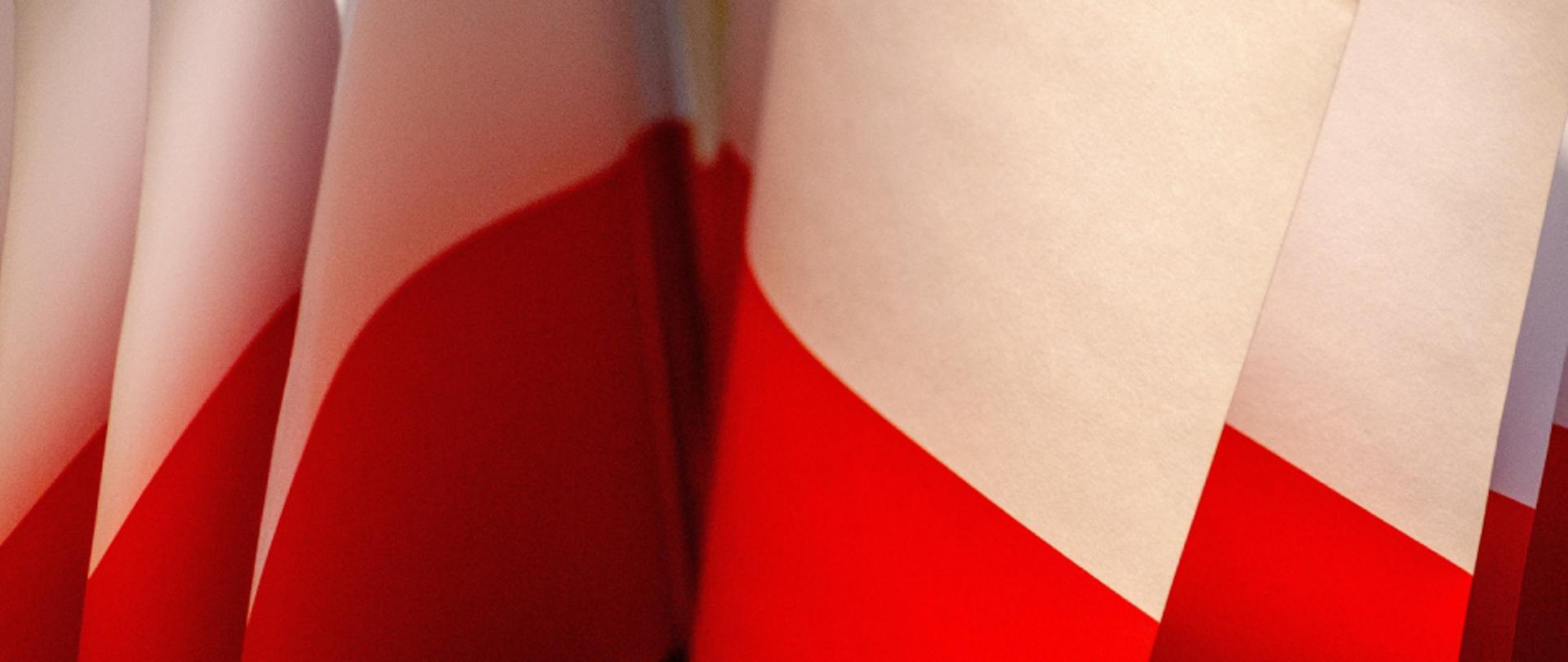 Zdjęcie przedstawiające wycinek z flag narodowych, które ułożone są jak przewracające się strony książki.