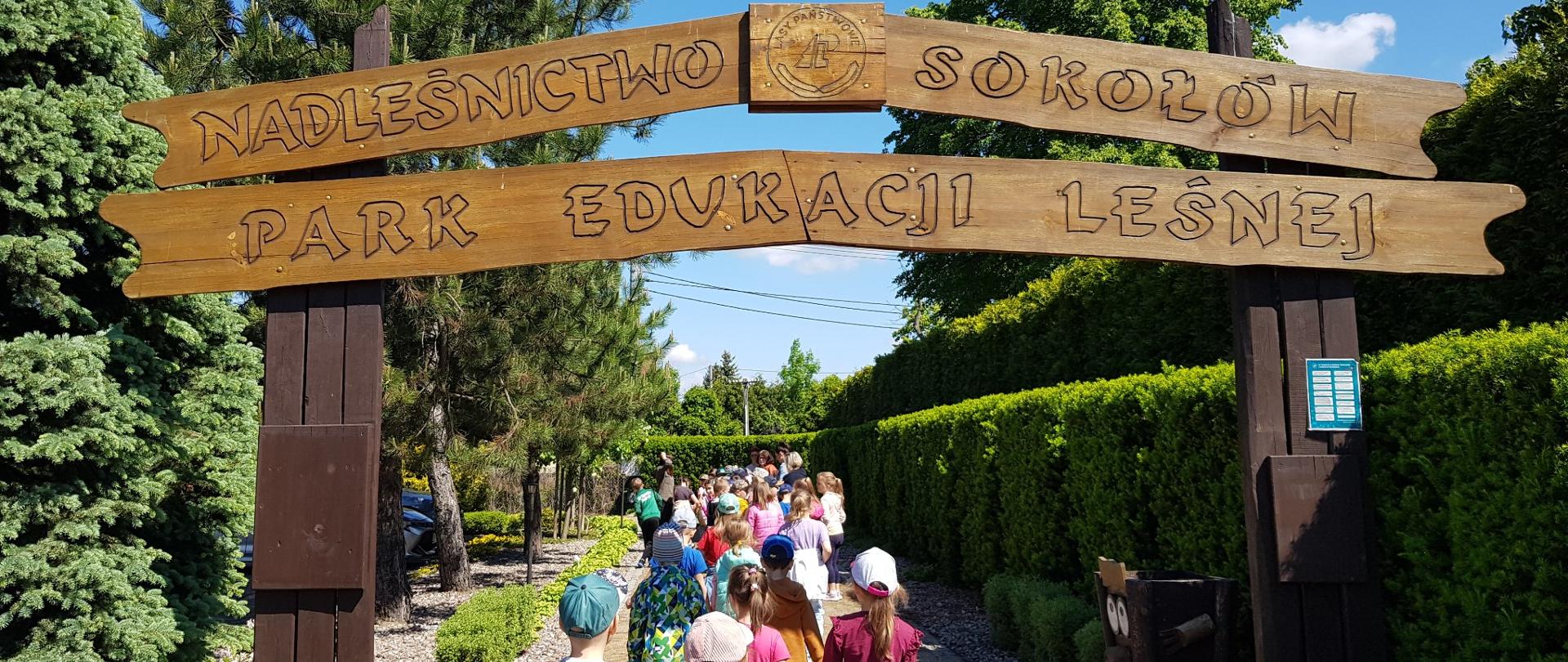 Dzieci wchodzą do Parku Edukacji Leśnej w Nadleśnictwie Sokołów 