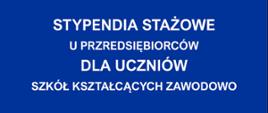 Grafika z napisem Stypendia stażowe u przedsiębiorców dla uczniów szkół kształcących zawodowo