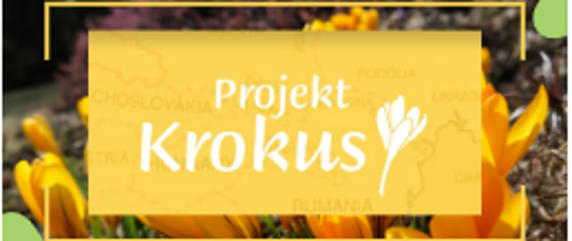 Projekt Krokus