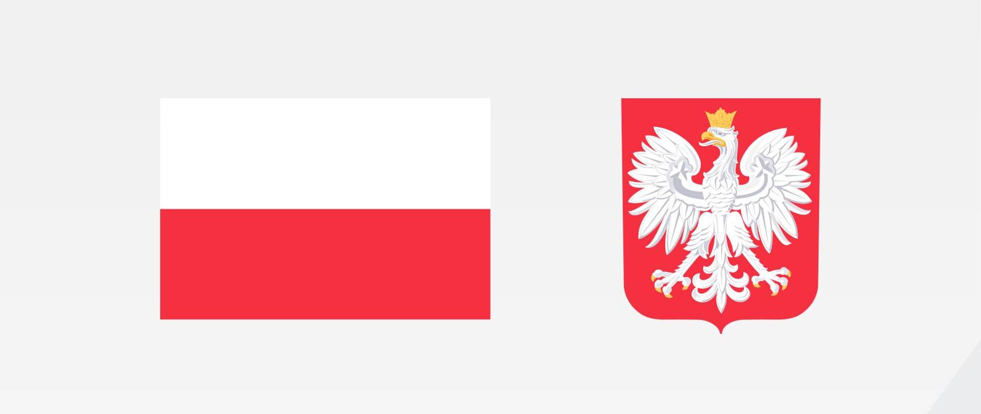 Plakat projektu: flaga i godło Polski, nazwa i wartość projektu