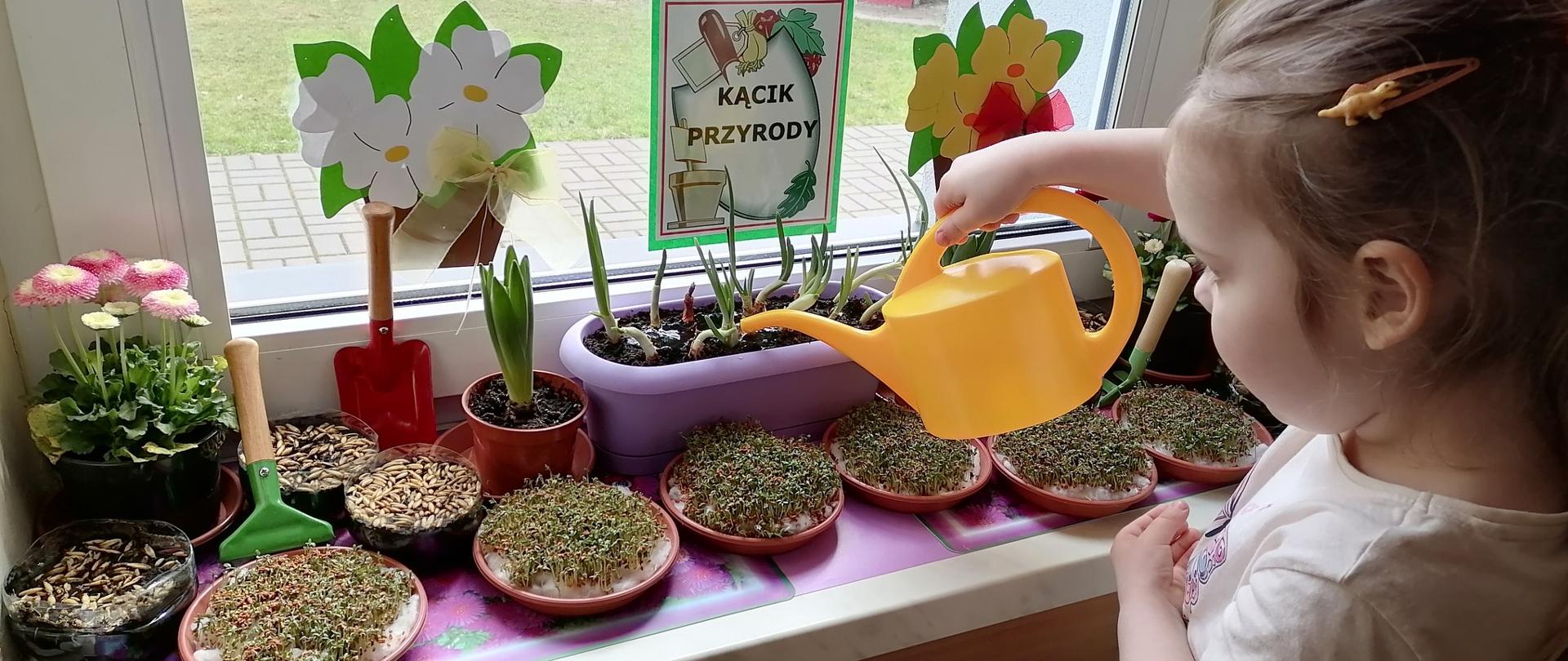 Dziewczynka podlewa roślinki 