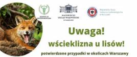 Plakat Uwaga wścieklizna u lisów