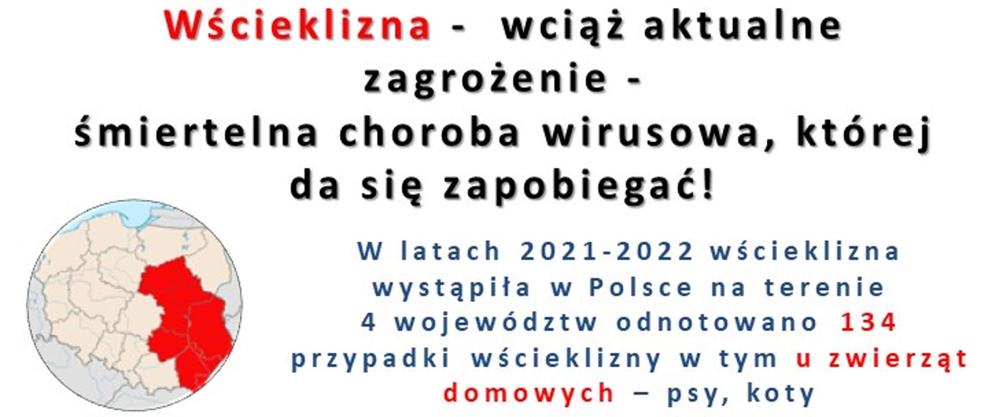 Plakat informujący o występowaniu zagrożenia wścieklizną. 
