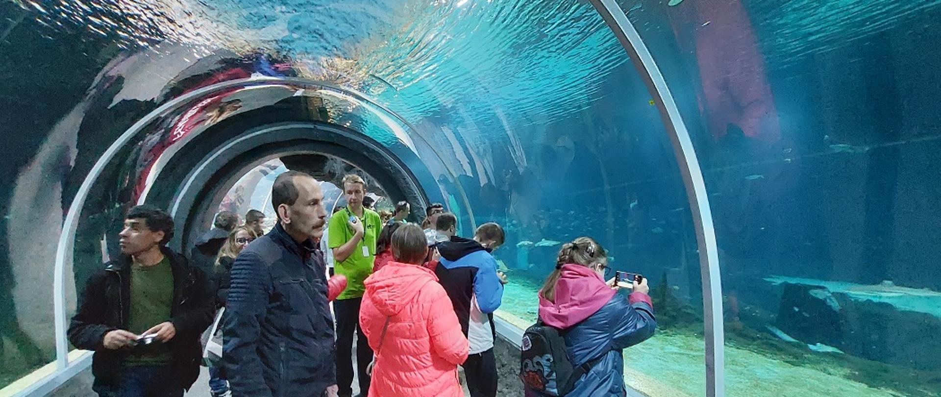 Uczestnicy PŚDS w Stąporkowie w łódzkim orientarium