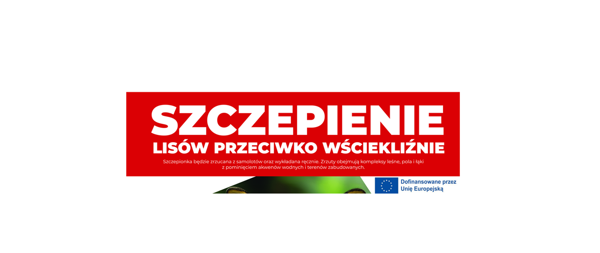 szczepienie przeciw wściekliźnie