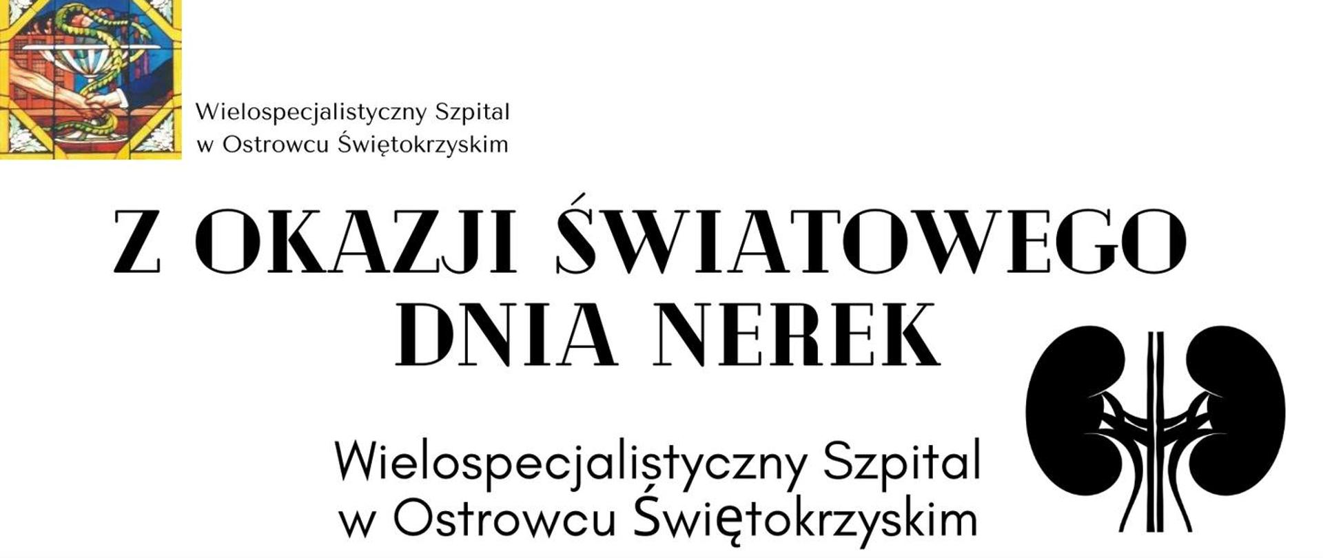 Światowy Dzień Nerek - badania