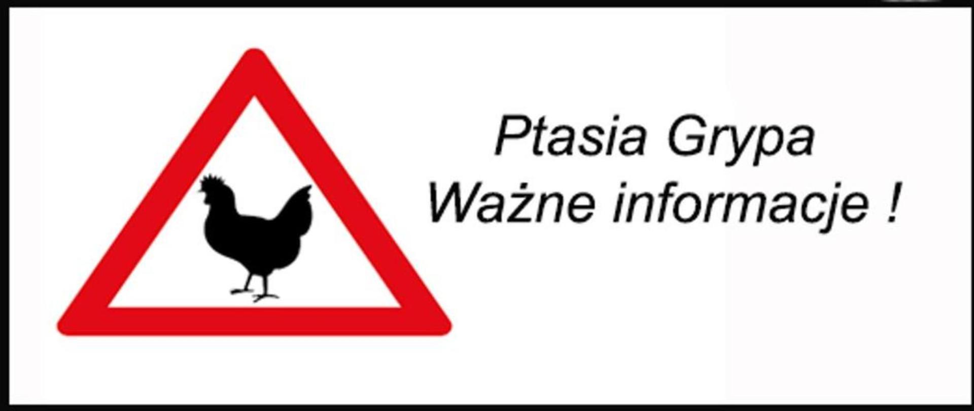ważne informacje dotyczące ptasiej grypy