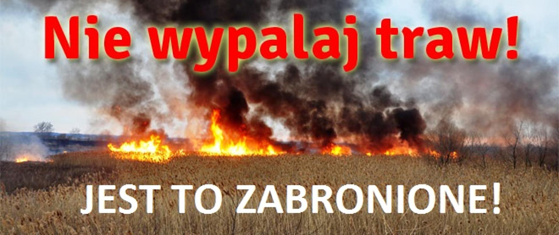 Wypalanie traw i nieużytków rolnych niebezpieczne i karalne