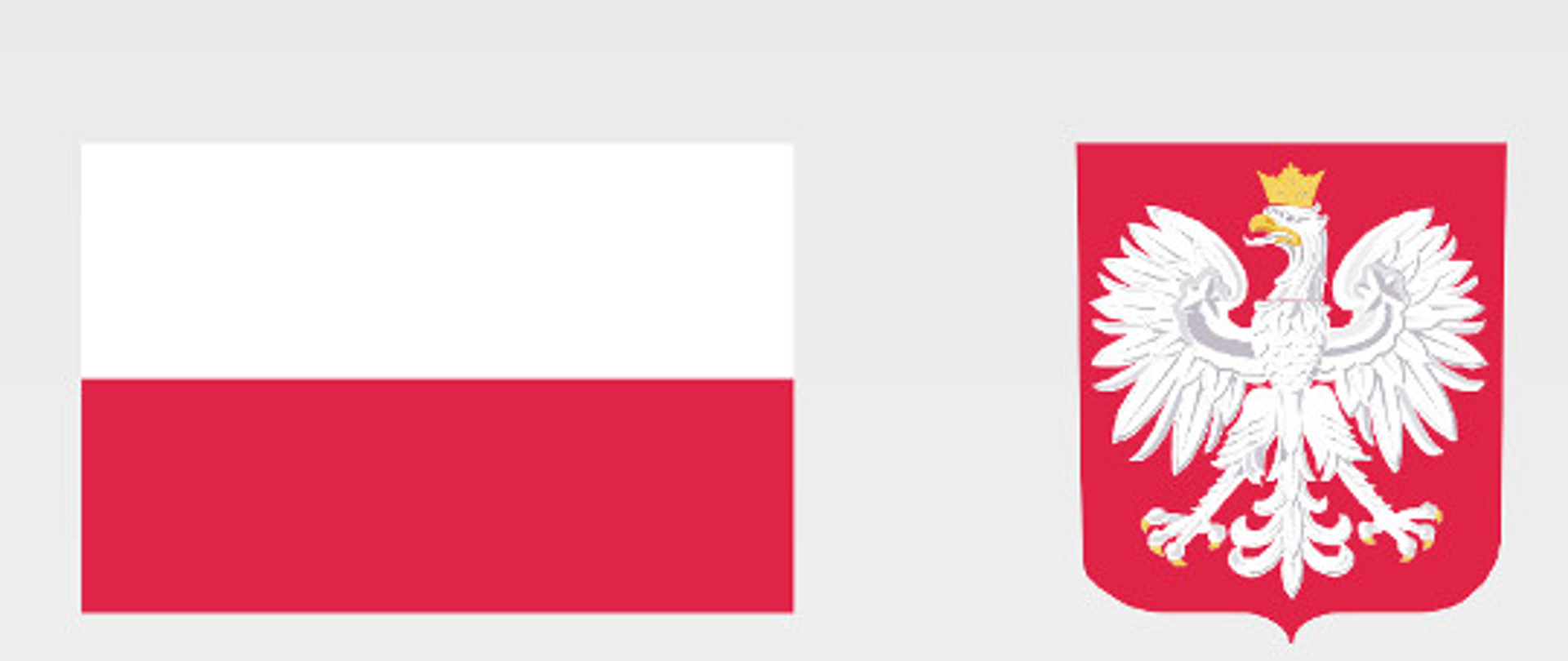 u góry flaga Polski biało-czerwona i godło Polski biały orzeł na czerwonym tle, poniżej informacja o dofinansowaniu, tło szare