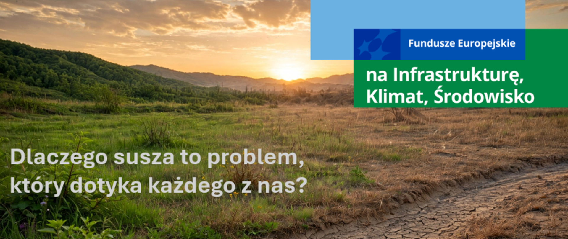 Dlaczego susza to problem, który dotyka każdego z nas?